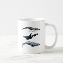 Orca, ballena jorobada y ballena gris