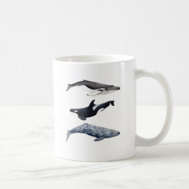 Taza De Café Orca, ballena jorobada y ballena gris