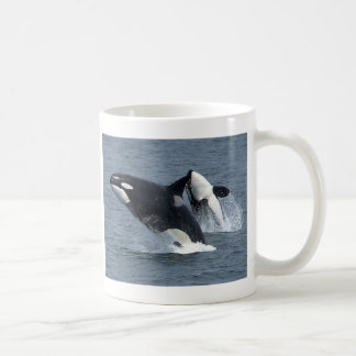 Taza De Café orcas