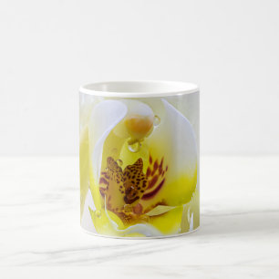 Taza De Café Orchid Dew
