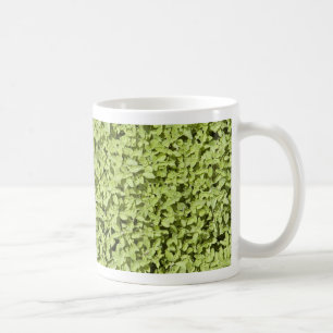 Taza De Café Oregano Mug