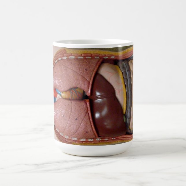Taza De Café Órganos humanos, el tórax (Centro)
