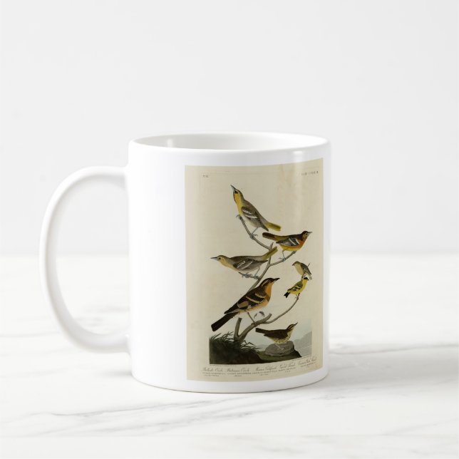 Taza De Café Orioles, arrebatos, de los pájaros de América de A (Izquierda)