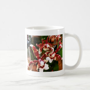 Taza De Café Orquídea