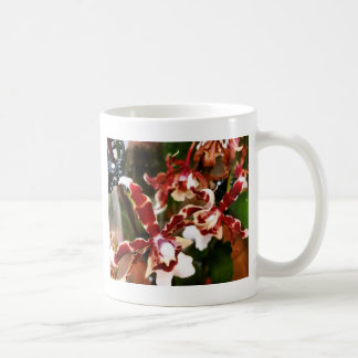 Taza De Café Orquídea
