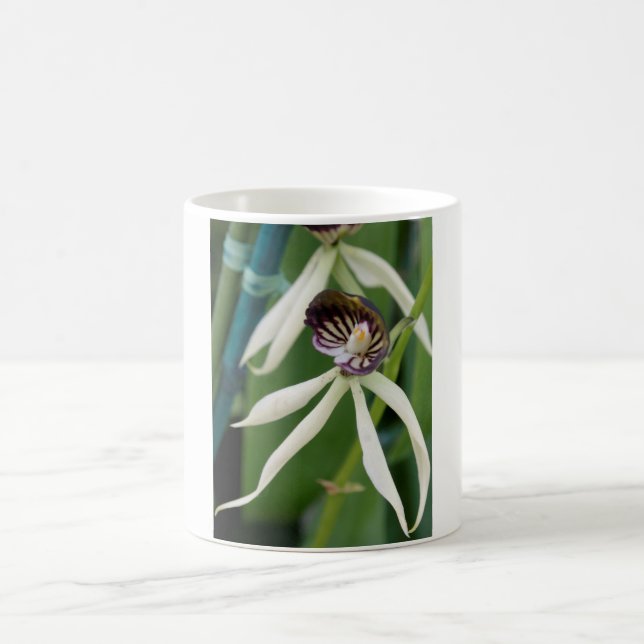 Taza De Café Orquídea (Centro)