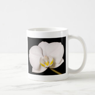 Taza De Café Orquídea blanca en negro