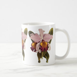 Taza De Café Orquídea de Cattleya púrpura de época, flores trop
