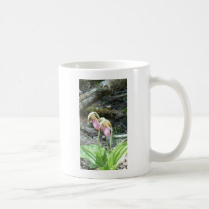 Taza De Café Orquídea de pantufla de dama rosa