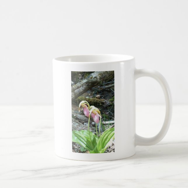 Taza De Café Orquídea de pantufla de dama rosa (Derecha)