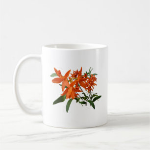 Taza De Café Orquídea Epidendrum Naranja