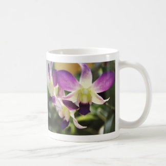 Taza De Café orquídea hawaiana