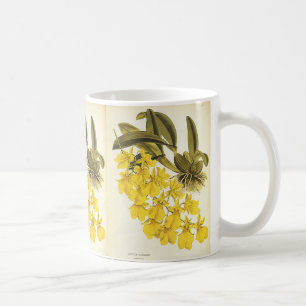 Taza De Café Orquídea Oncidium Amarillo Vintage, Flores Tropica