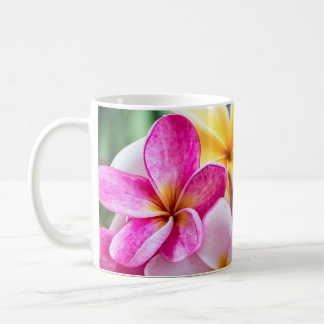 Taza De Café orquídea, ópera barba de flores de Hawái (Izquierda)
