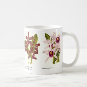 Taza De Café Orquídeas