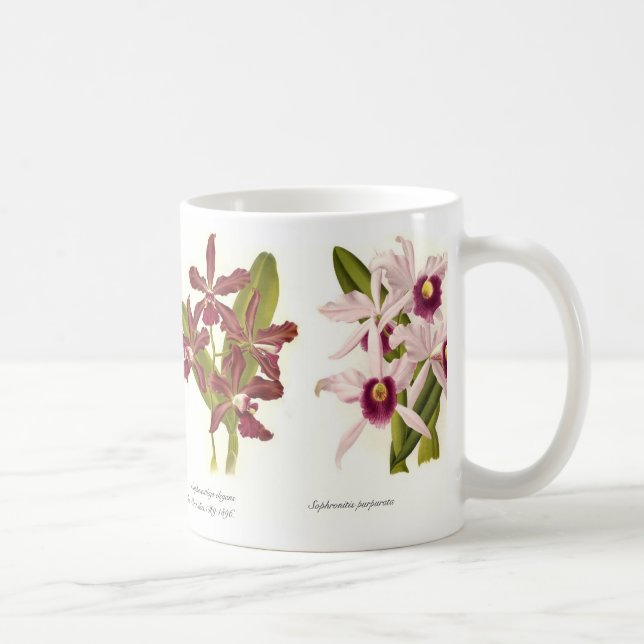 Taza De Café Orquídeas (Derecha)