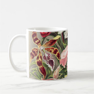 Taza De Café Orquídeas, Orquídea Denusblumen, por Ernst Haeckel