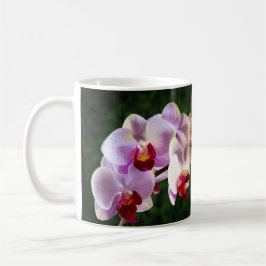 Taza De Café Orquídeas Rosa 0834