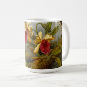 Taza De Café Orquids y Hummingbird Heade