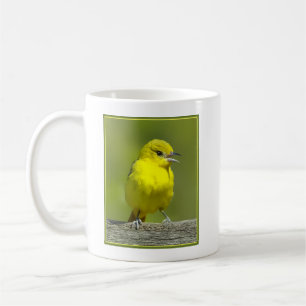 Taza De Café Ortolano Oriol - Fotografía Original
