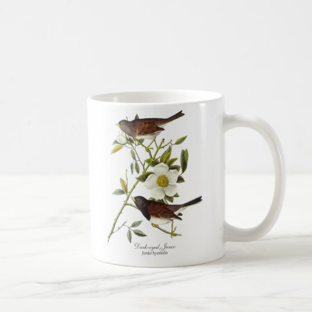 taza de café Oscuro-observada de Junko (Derecha)