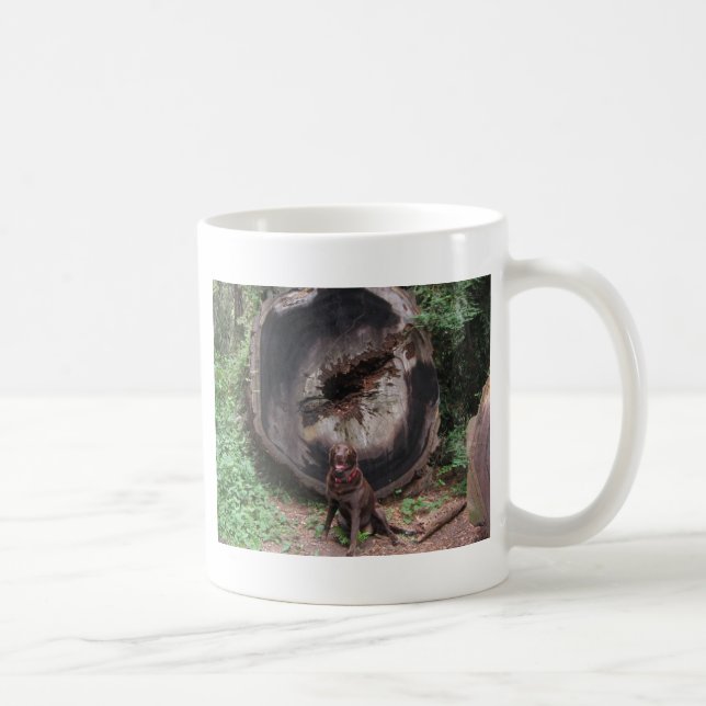 Taza De Café Oso (Derecha)