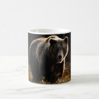 Taza De Café Oso