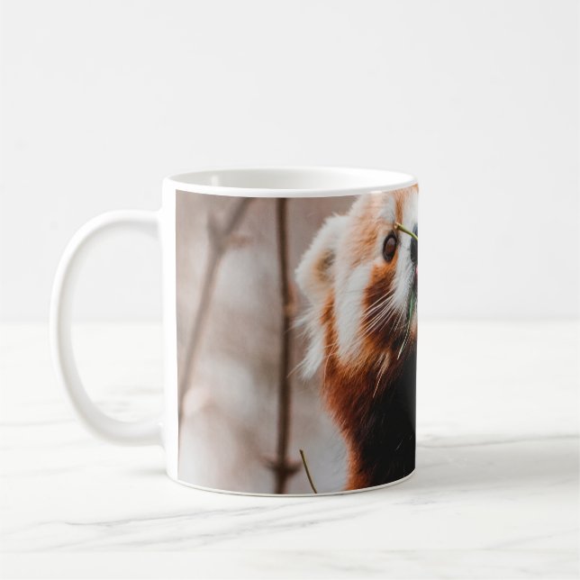 TAZA DE CAFÉ OSO CUTE KOALA (Izquierda)
