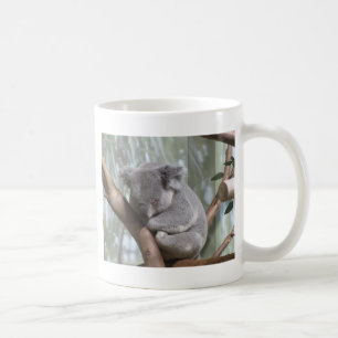 Taza De Café oso de koala