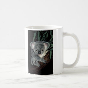 Taza De Café Oso de koala lindo