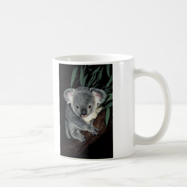Taza De Café Oso de koala lindo (Derecha)