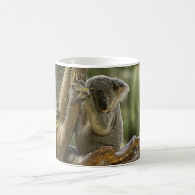 Taza De Café Oso de koala soñoliento (Centro)