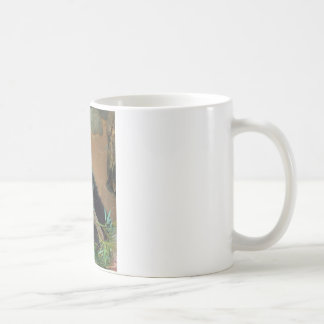 Taza De Café Oso de panda