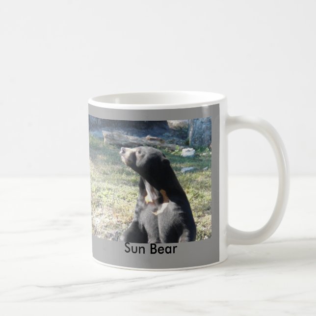 Taza De Café Oso de Sun (Derecha)