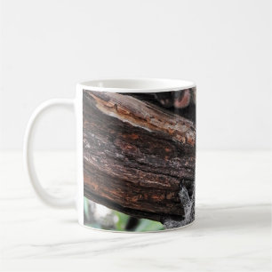 TAZA DE CAFÉ OSO KOALA DURMIENDO EN ÁRBOL