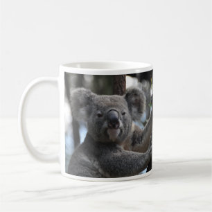 Taza De Café Oso Koala en el árbol