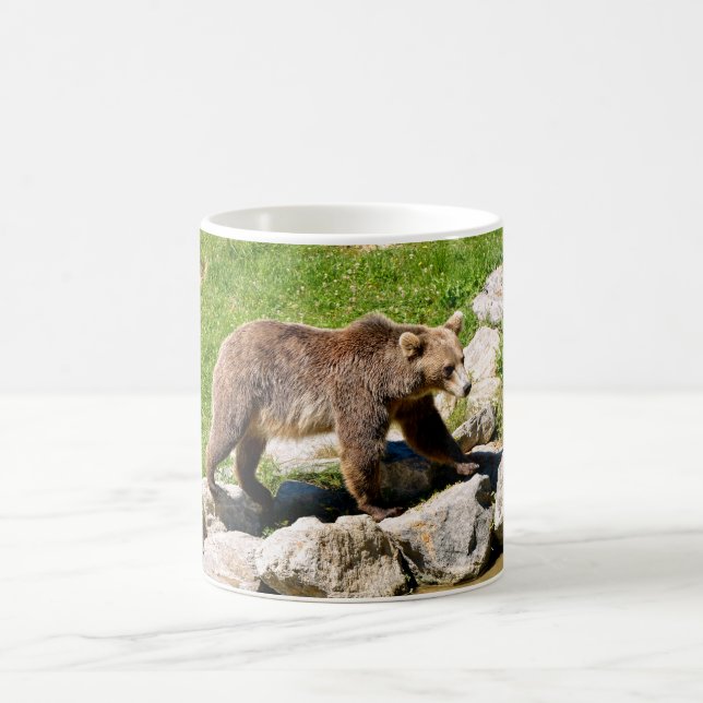 Taza De Café Oso marrón (Ursus arctos) visto desde el perfil (Centro)