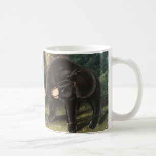 Taza De Café Oso Negro Estadounidense Ilustracion Ursus America