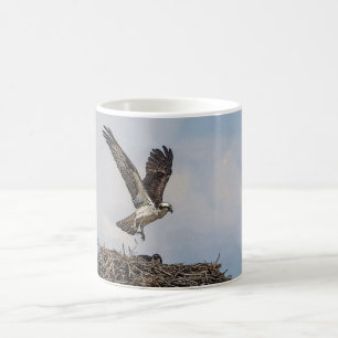 Taza De Café Osprey en una jerarquía