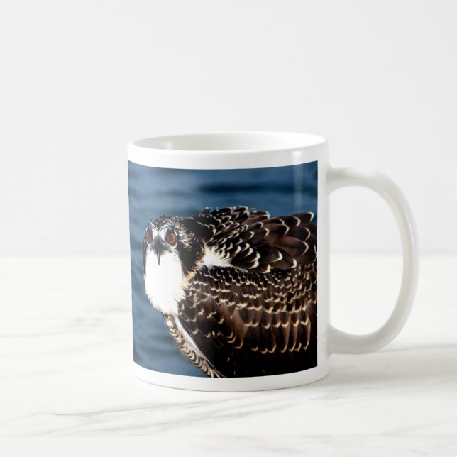 Taza De Café Osprey, isla de Tilghman, puerto del Dogwood, (Derecha)