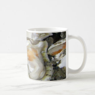 Taza De Café ostras del appalachicola