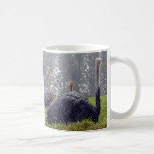Taza De Café Ostrich Mug