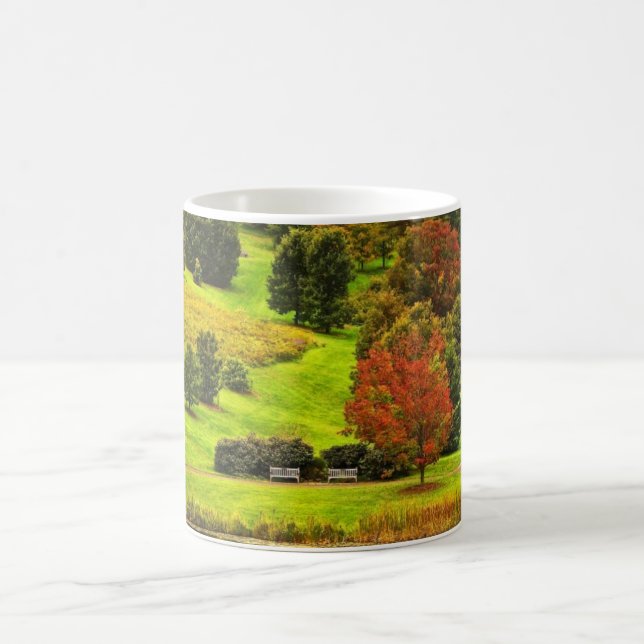Taza De Café Otoño en el parque (Centro)
