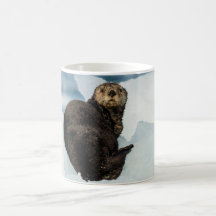 Otter marino de reposo