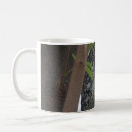 Taza De Café Oveja africana durmiendo en un árbol