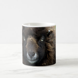 Taza De Café Ovejas