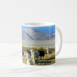 Taza De Café Ovejas chilenas