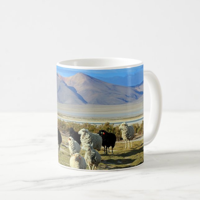 Taza De Café Ovejas chilenas (Anverso derecho)