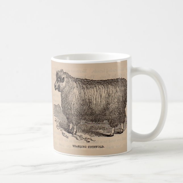 Taza De Café Ovejas de algodón del siglo XIX (Derecha)