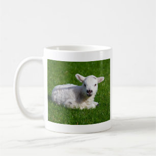 Taza De Café Ovejas lindas del bebé que mienten en hierba